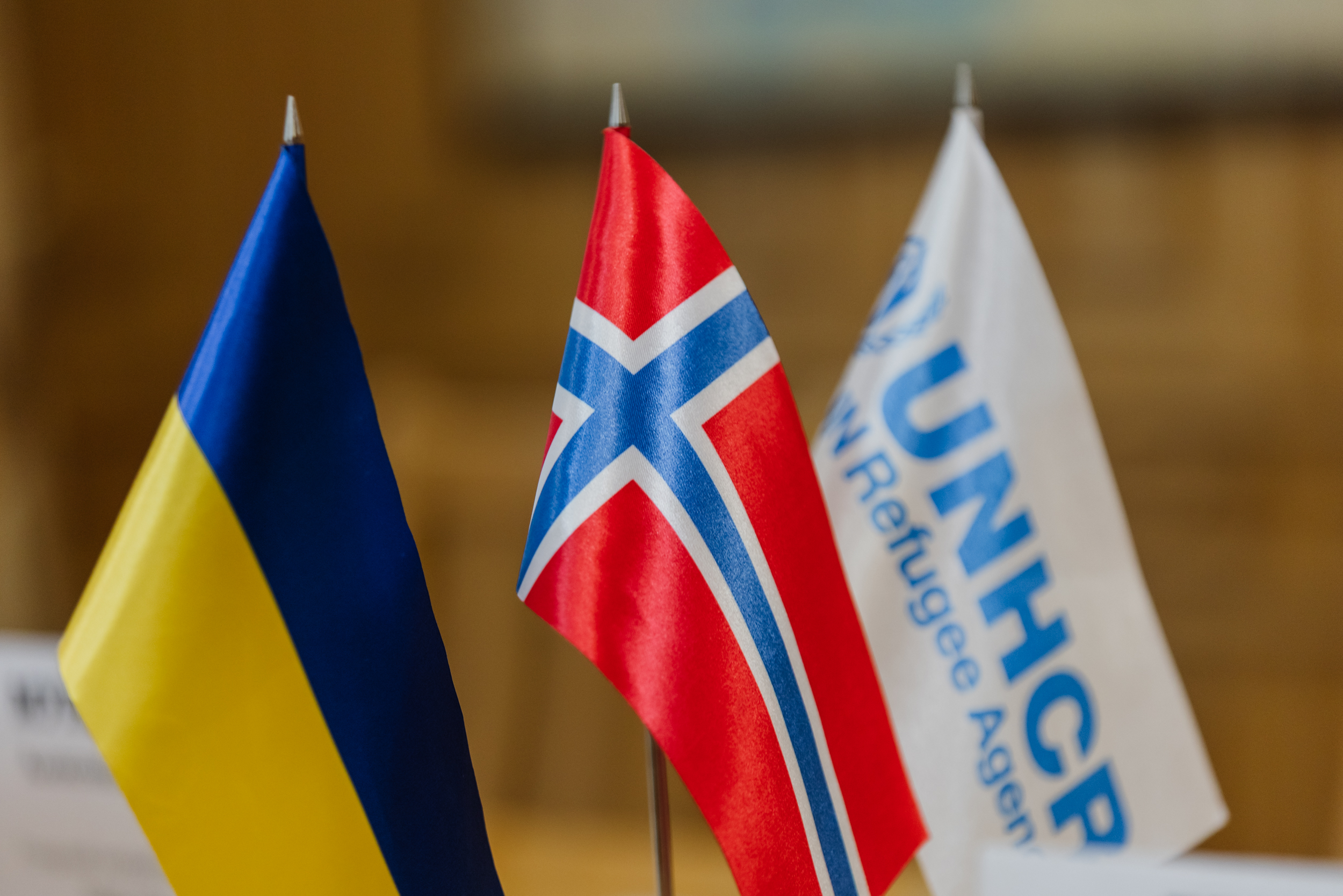 Прапор України, Норвегії та Юнісеф