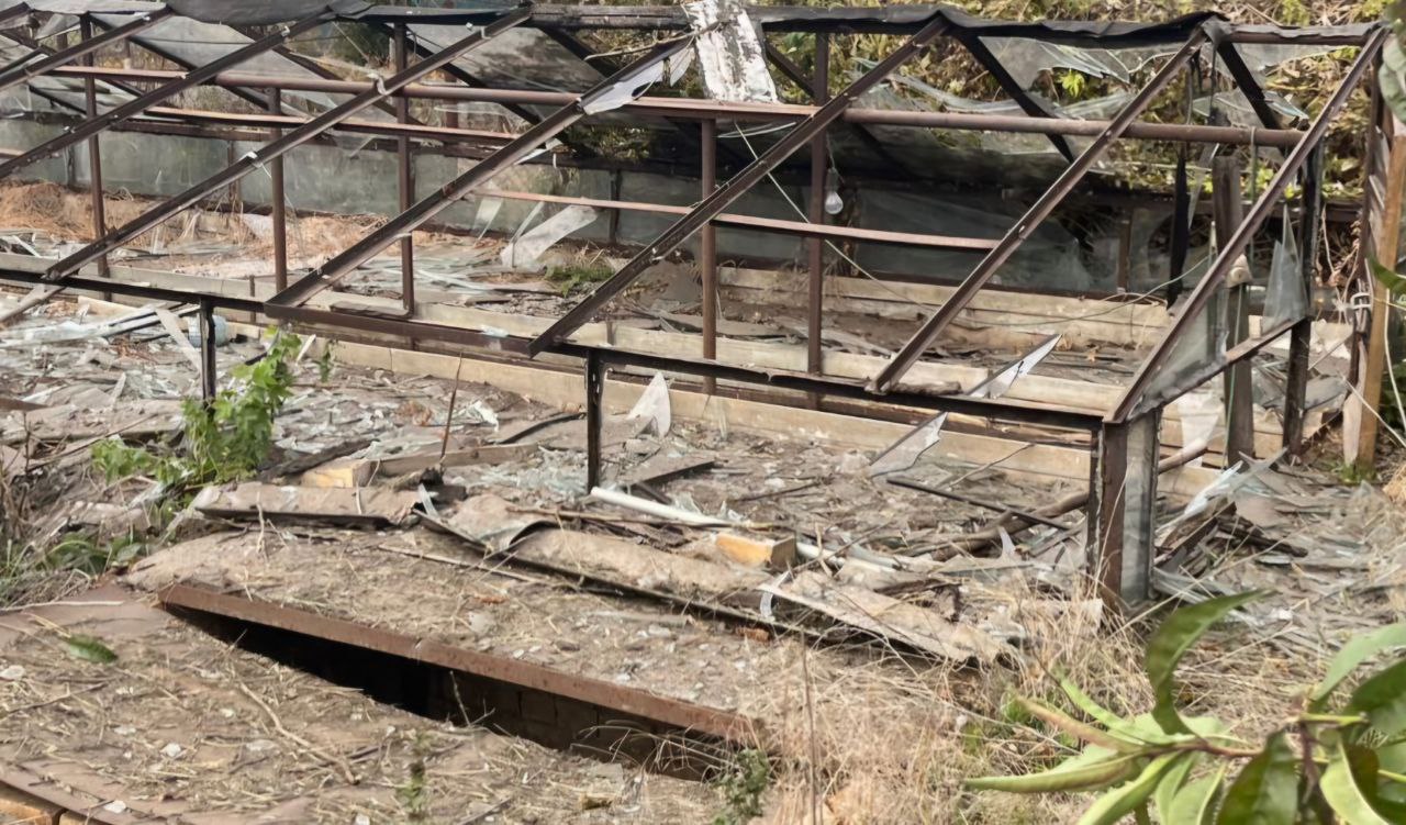 У теплиці розбите все скло