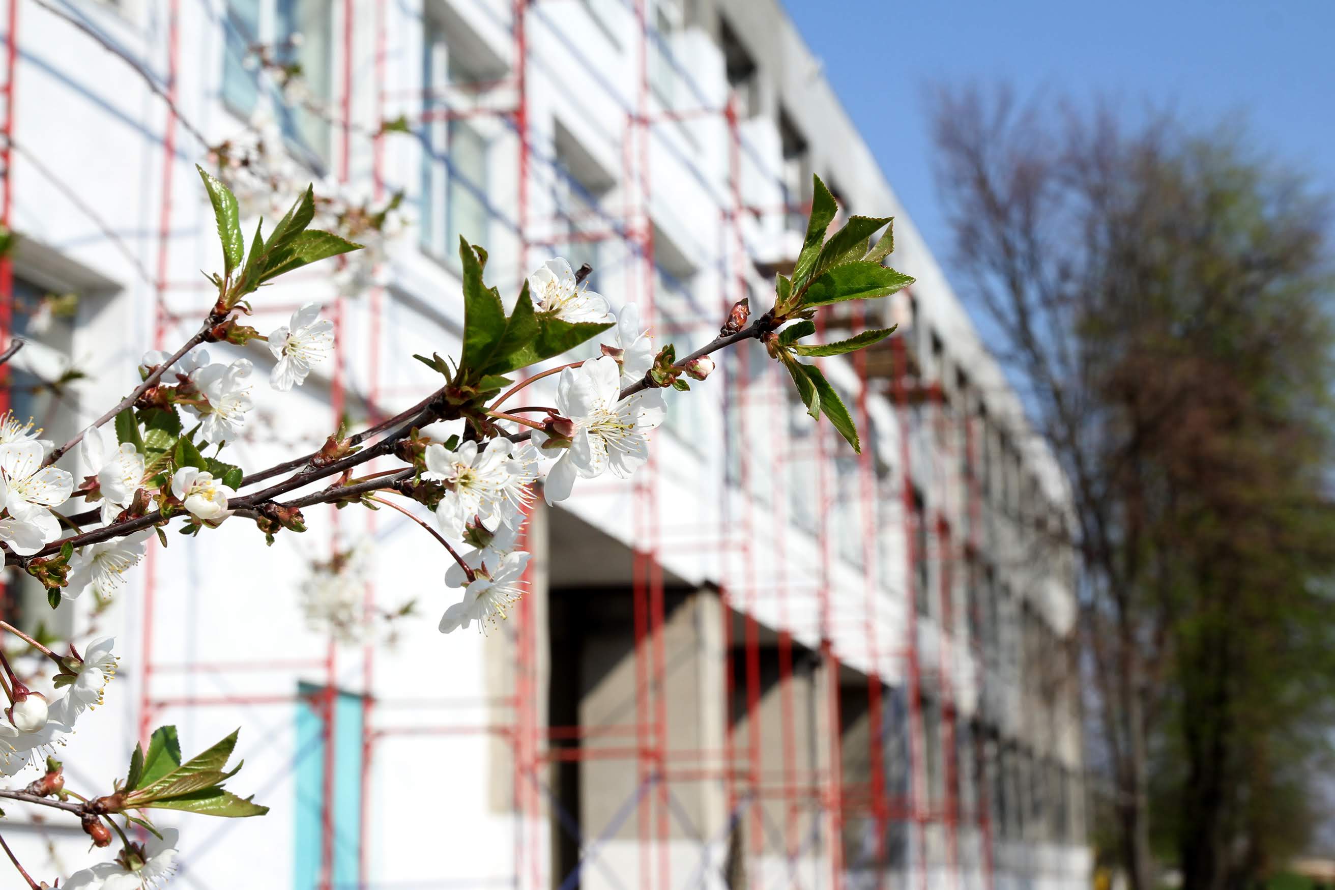 Нині тут – масштабна реконструкція