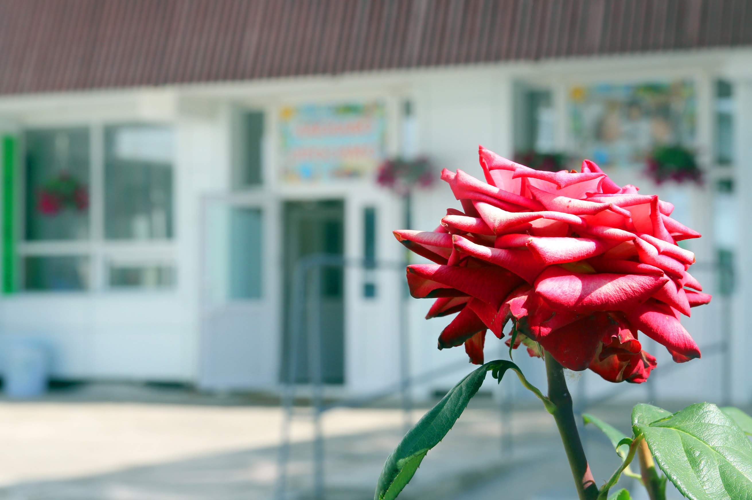 Наразі Дніпропетровська ОДА реконструює понад 30 шкіл.