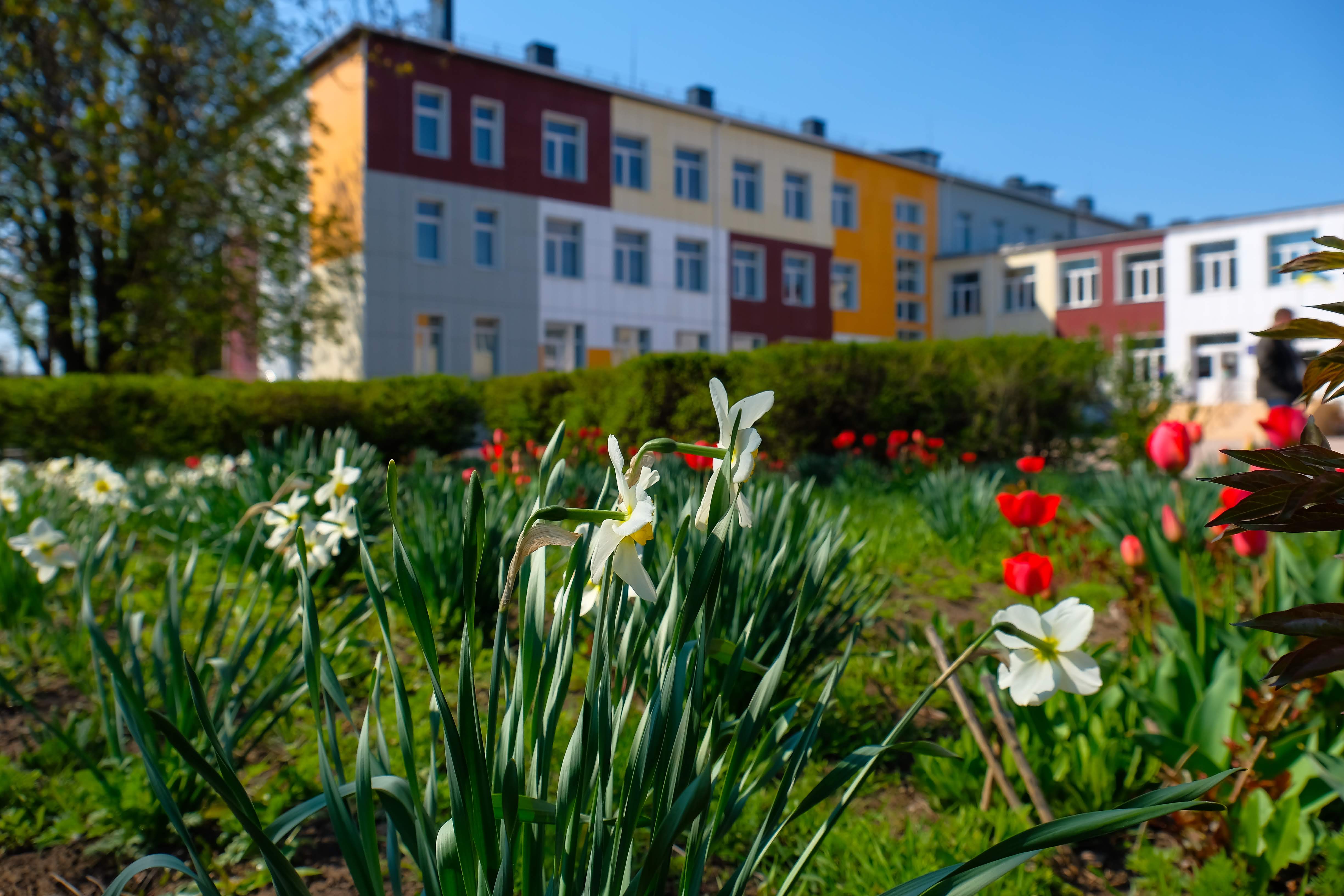  … освітньо-спортивне середовище.