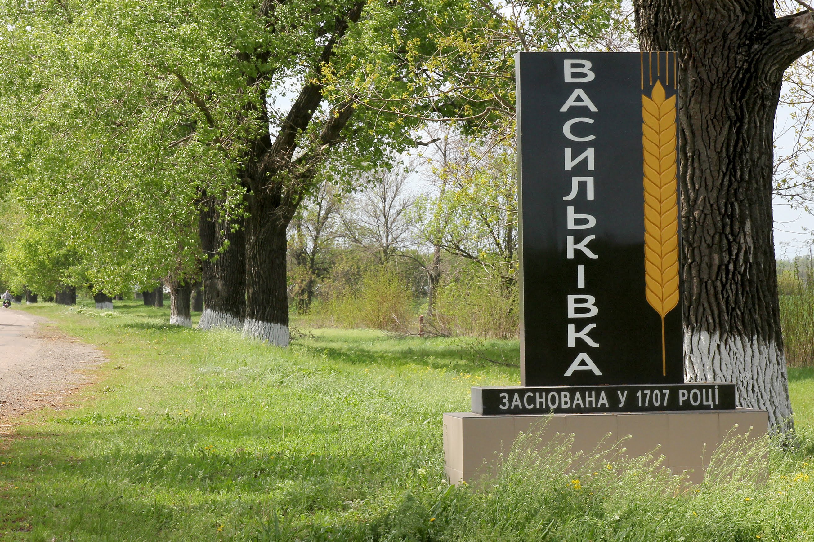 Дніпропетровська ОДА реконструює найбільший навчальний заклад Васильківського району