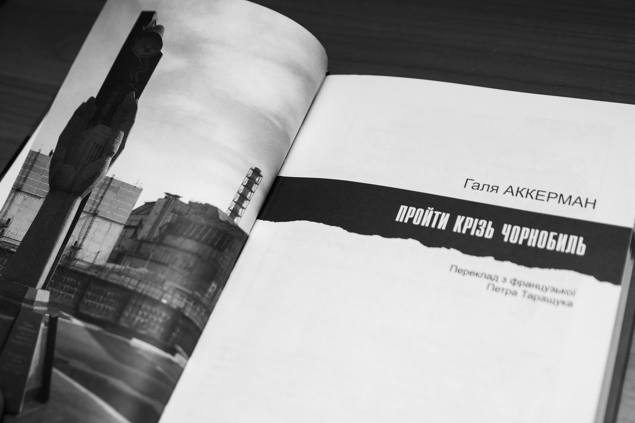 «Пройти крізь Чорнобиль» торік вийшла друком в Україні й підсумувала 20-річні дослідження письменниці.