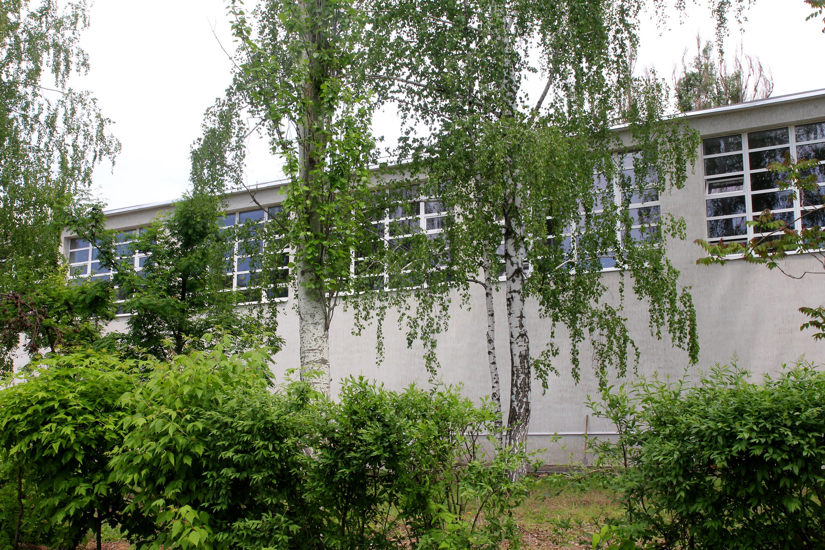 Торік школа відсвяткувала 60-річний ювілей.