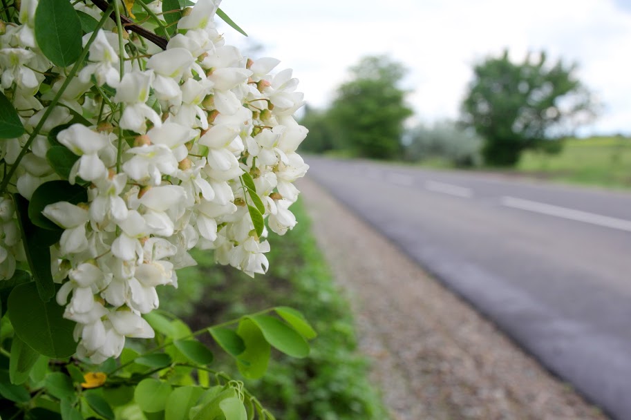 Її дає підрядна організація, яка здійснювала капремонт